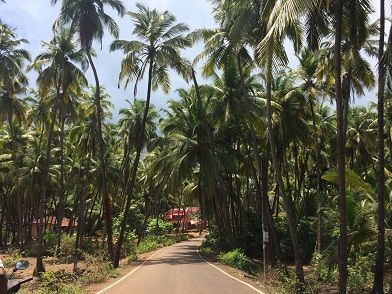 Photo of 10 Reasons Why You Should Visit Goa This Monsoon 9/11 by Vinnie Singh
