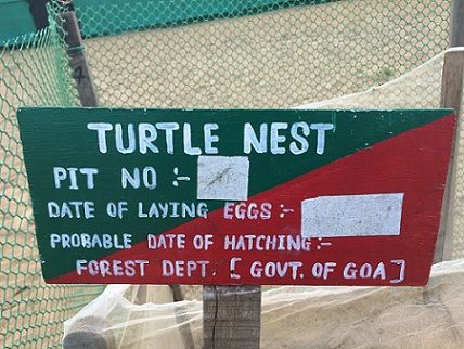 Photo of 10 Reasons Why You Should Visit Goa This Monsoon 10/11 by Vinnie Singh