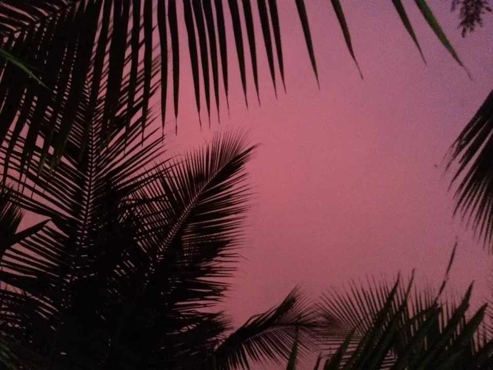 Photo of Agonda, Goa, India by Vinnie Singh
