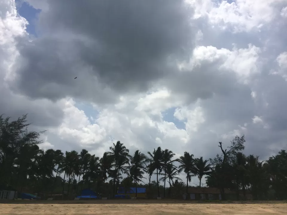 Photo of Agonda, Goa, India by Vinnie Singh