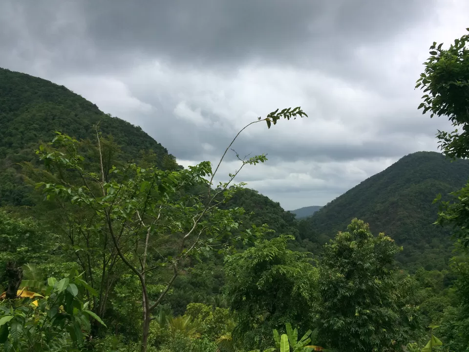 Photo of Cotigao Wildlife Sanctuary, Khotigao, Goa, India by Vinnie Singh