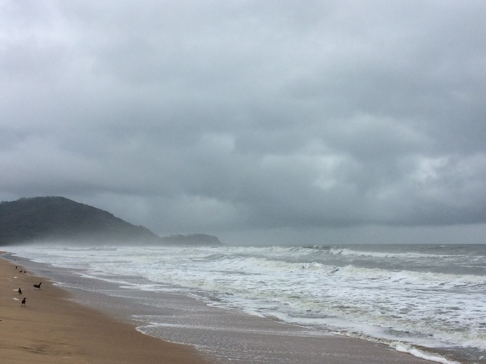 Photo of Agonda, Goa, India by Vinnie Singh