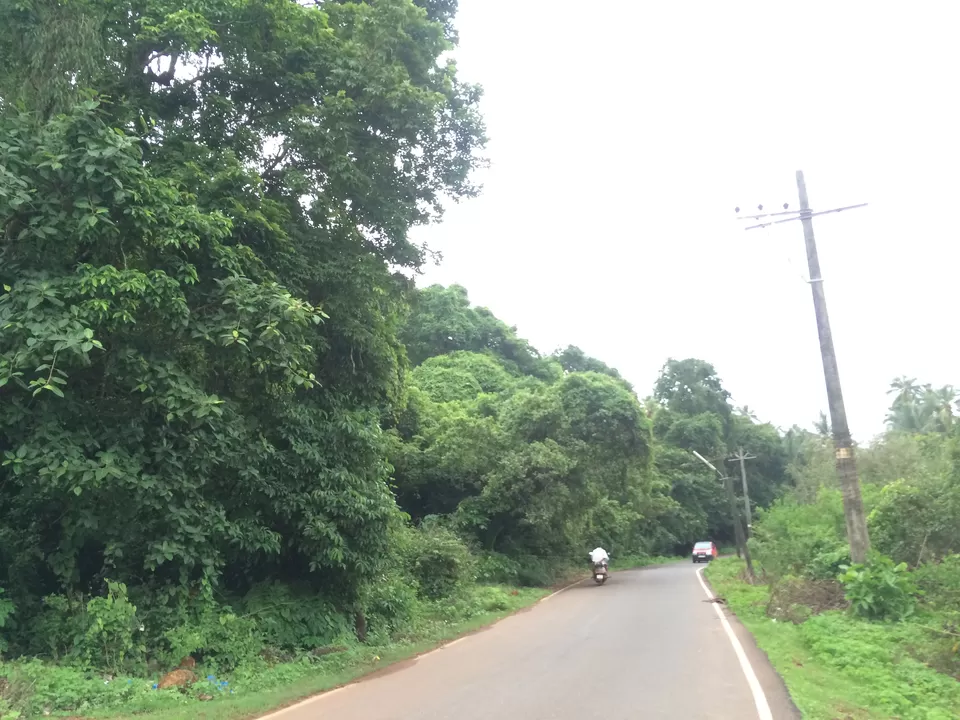 Photo of Agonda, Goa, India by Vinnie Singh