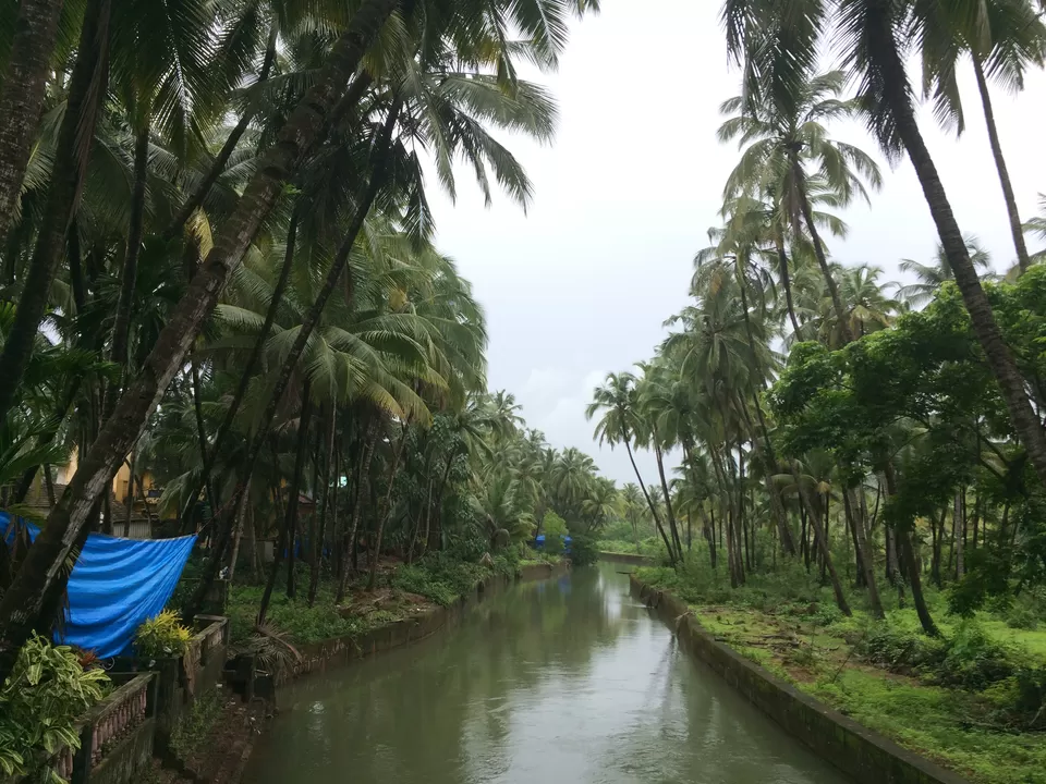 Photo of Agonda, Goa, India by Vinnie Singh