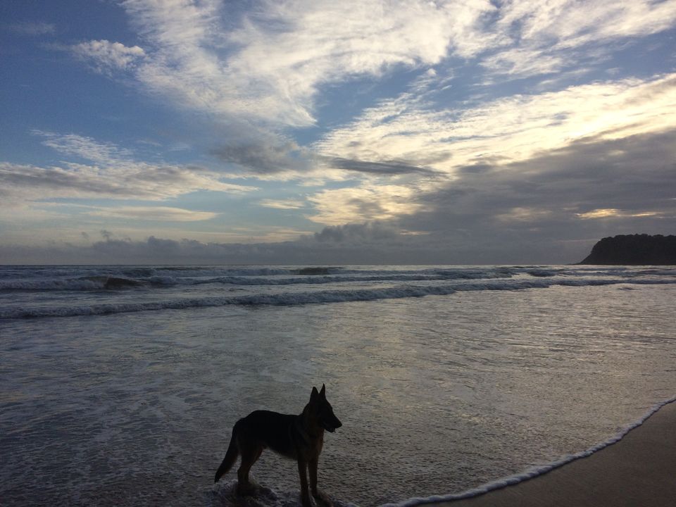 Photo of Agonda, Goa, India by Vinnie Singh