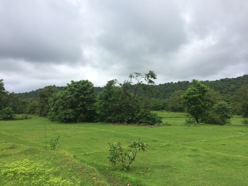 Photo of Canacona, Goa, India by Vinnie Singh