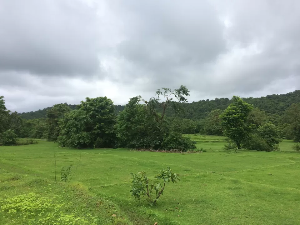 Photo of Canacona, Goa, India by Vinnie Singh