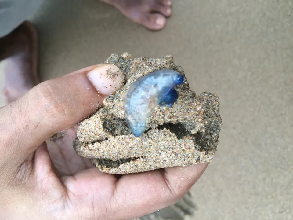 Photo of Agonda, Goa, India by Vinnie Singh