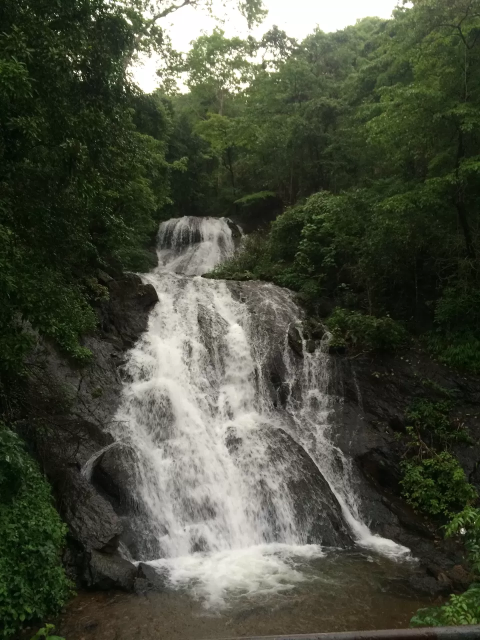 Photo of Cotigao Wildlife Sanctuary, Khotigao, Goa, India by Vinnie Singh
