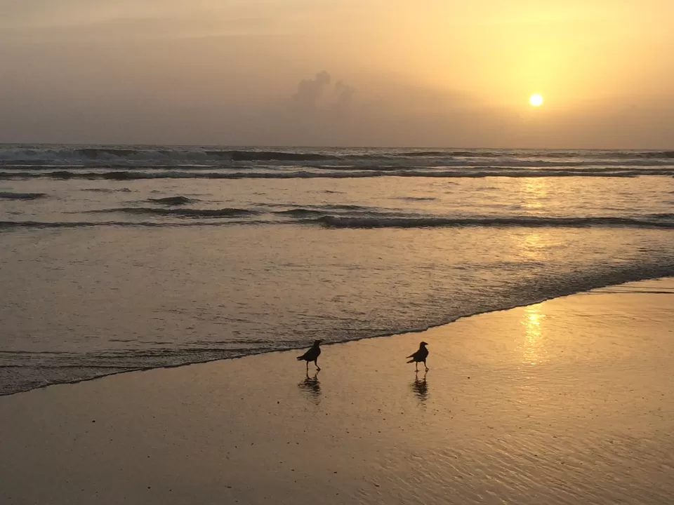 Photo of Agonda, Goa, India by Vinnie Singh