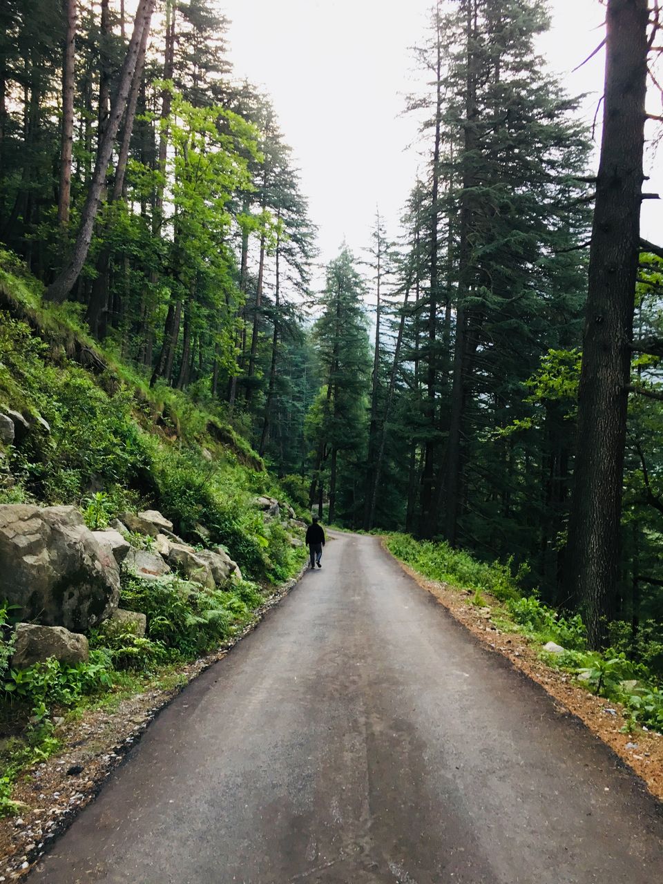 Photo of Tirthan Valley, Kullu, Himachal Pradesh, India by Vinnie Singh