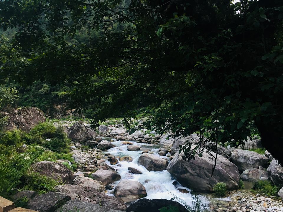 Photo of Tirthan Valley, Pekhri, Himachal Pradesh, India by Vinnie Singh