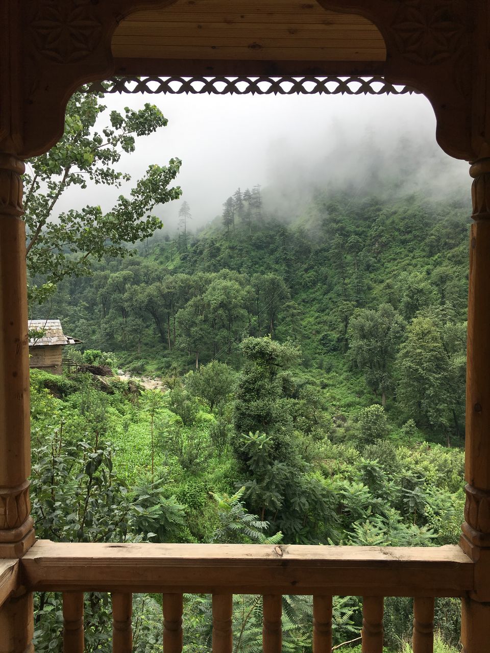 Photo of Tirthan Valley, Kullu, Himachal Pradesh, India by Vinnie Singh
