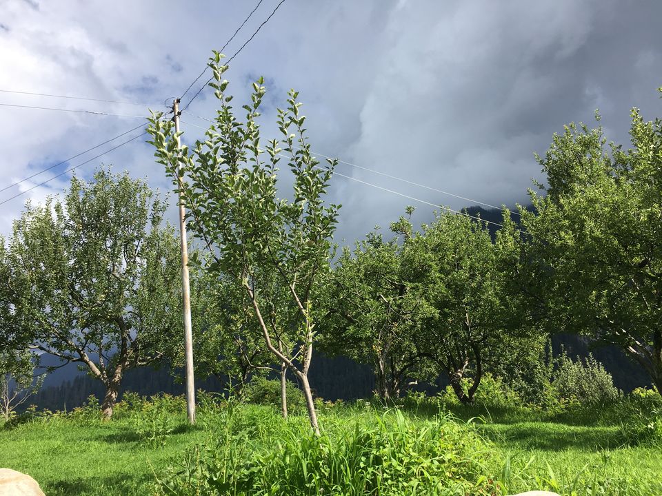 Photo of Sharchi, Himachal Pradesh, India by Vinnie Singh