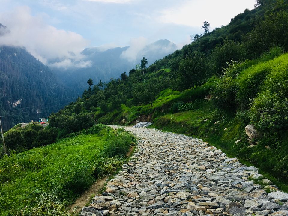 Photo of Sharchi, Himachal Pradesh, India by Vinnie Singh