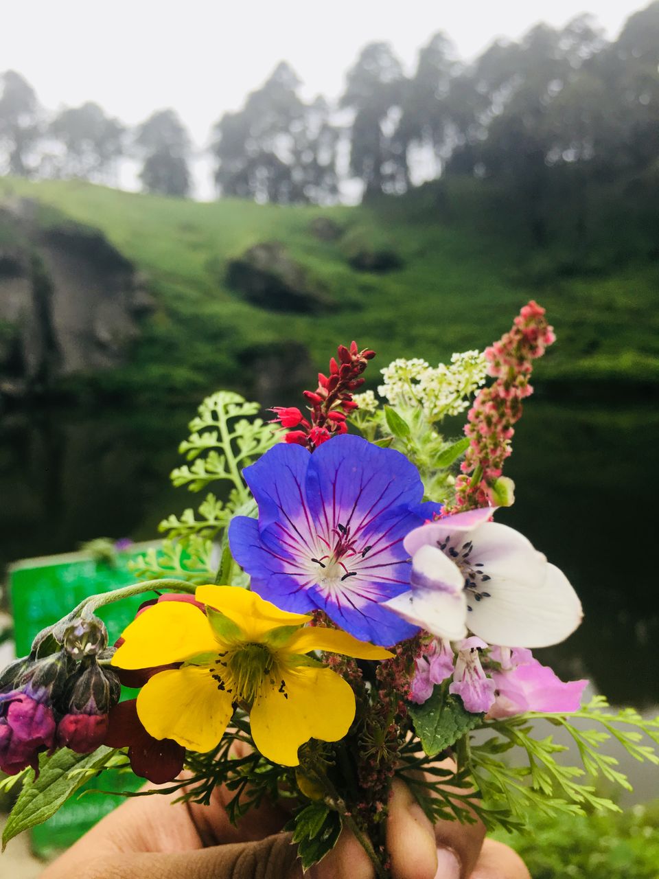 Photo of Serolsar Lake, Himachal Pradesh by Vinnie Singh