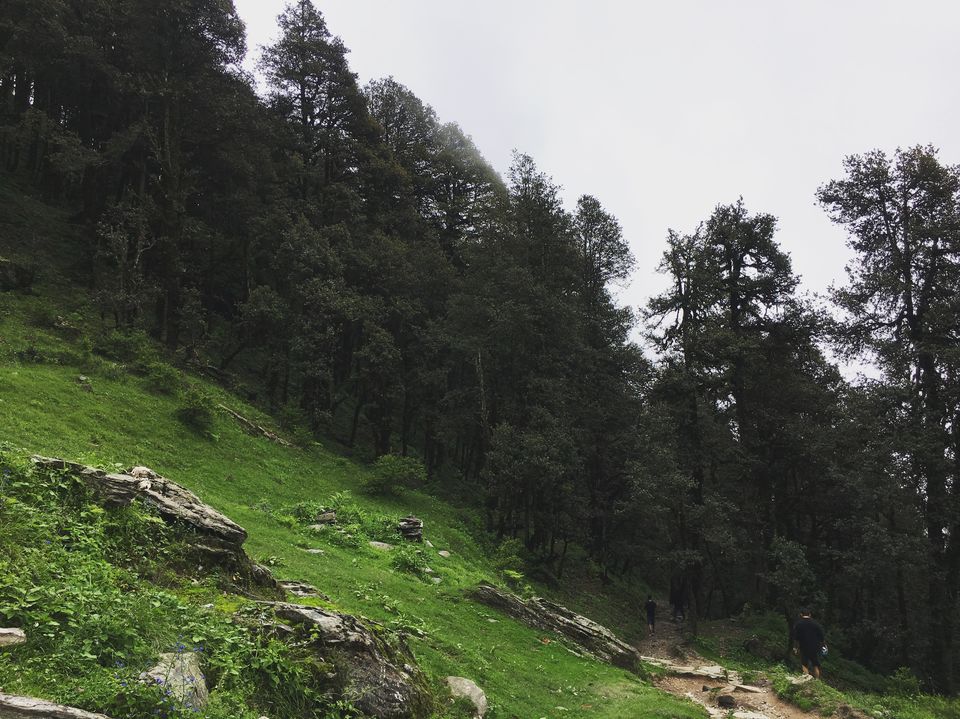Photo of Serolsar Lake, Himachal Pradesh by Vinnie Singh