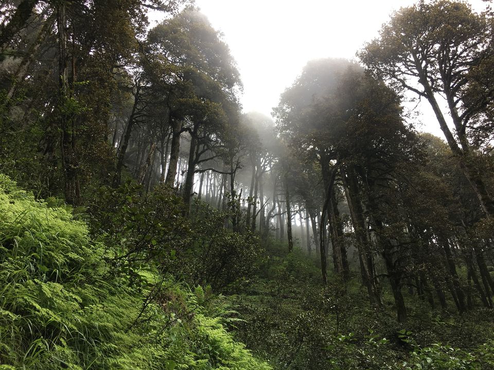 Photo of Serolsar Lake, Himachal Pradesh by Vinnie Singh
