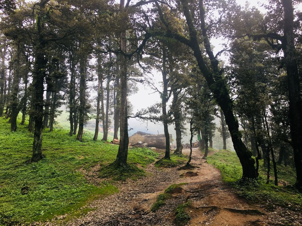 Photo of Serolsar Lake, Himachal Pradesh by Vinnie Singh