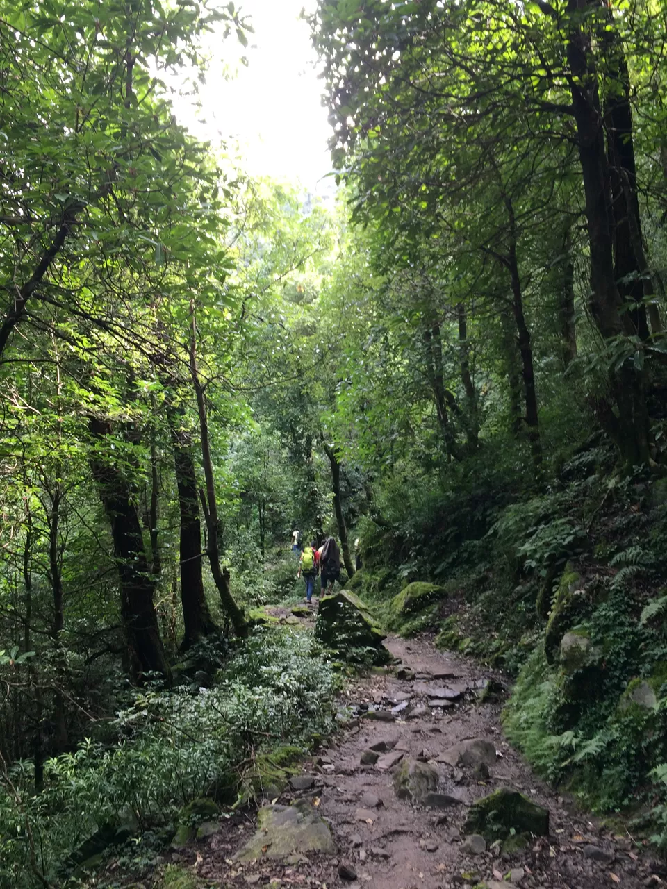 Photo of McLeod Ganj, Dharamshala, Himachal Pradesh, India by Vinnie Singh