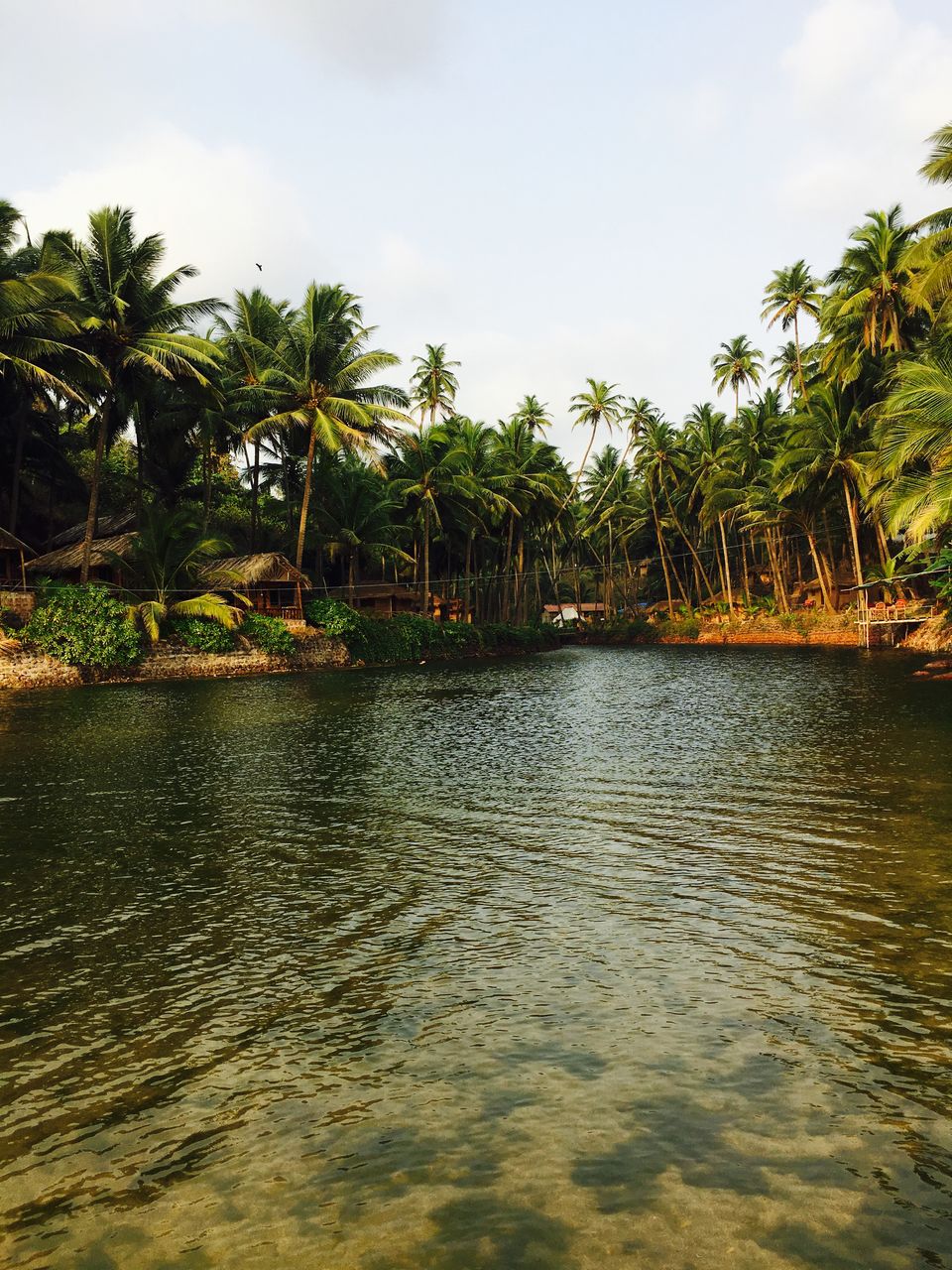 Photo of Cola Beach Lagoon, Cola, Goa by Vinnie Singh