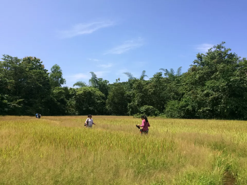 Photo of Canacona, Goa, India by Vinnie Singh