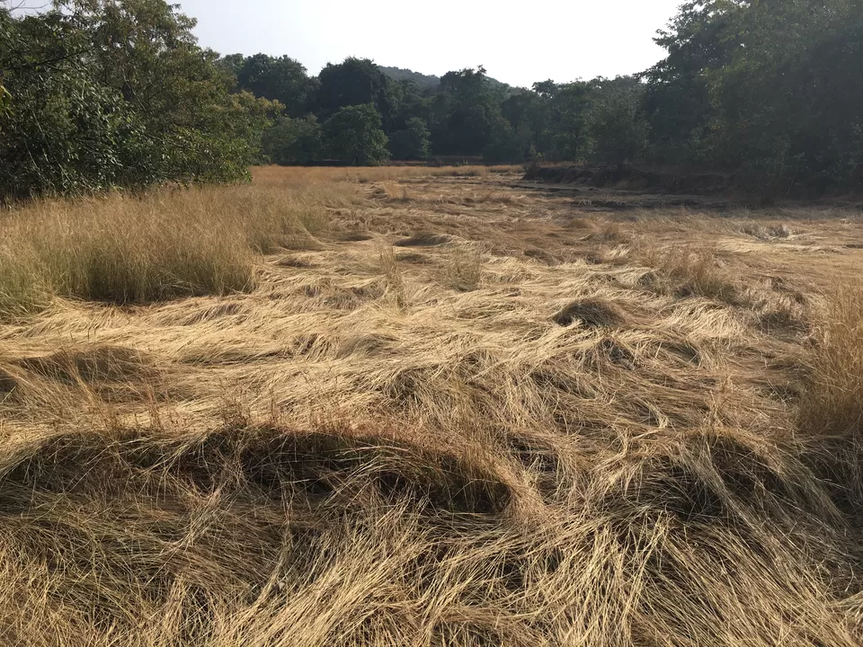 Photo of Canacona, Goa, India by Vinnie Singh