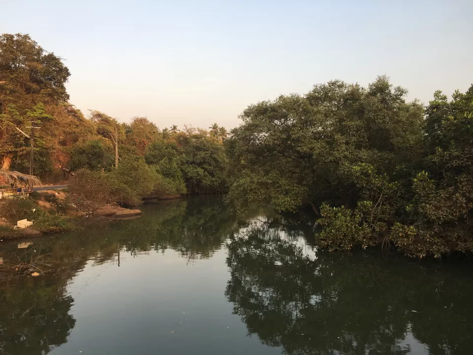 Photo of Palolem, Canacona, Goa, India by Vinnie Singh