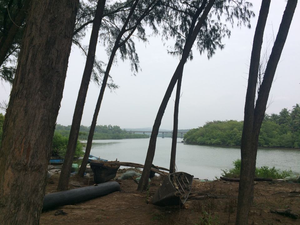 Photo of Galgibaga Beach, Goa by Vinnie Singh