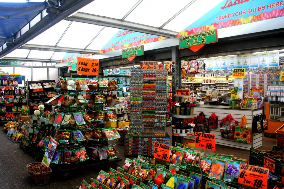 Photo of Amsterdam, The Netherlands by Ryb Palak Shetty