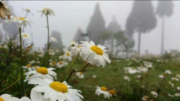 Photo of Lepchajagat by Sabuj Ghosh