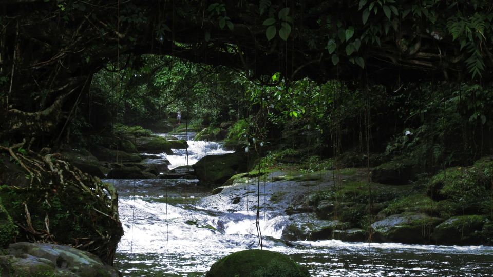 Photo of Meghalaya Diary by Sabuj Ghosh
