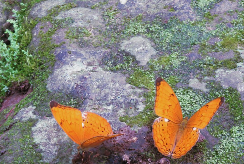 Photo of Meghalaya Diary by Sabuj Ghosh