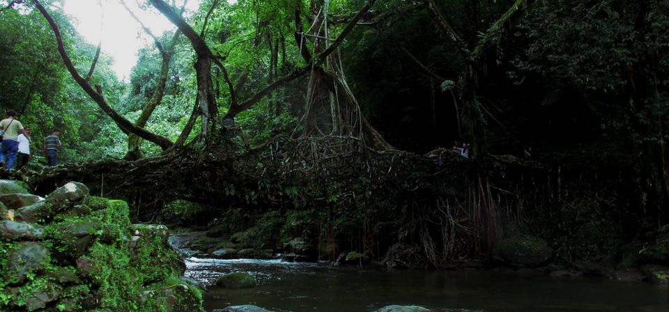 Photo of Meghalaya Diary by Sabuj Ghosh