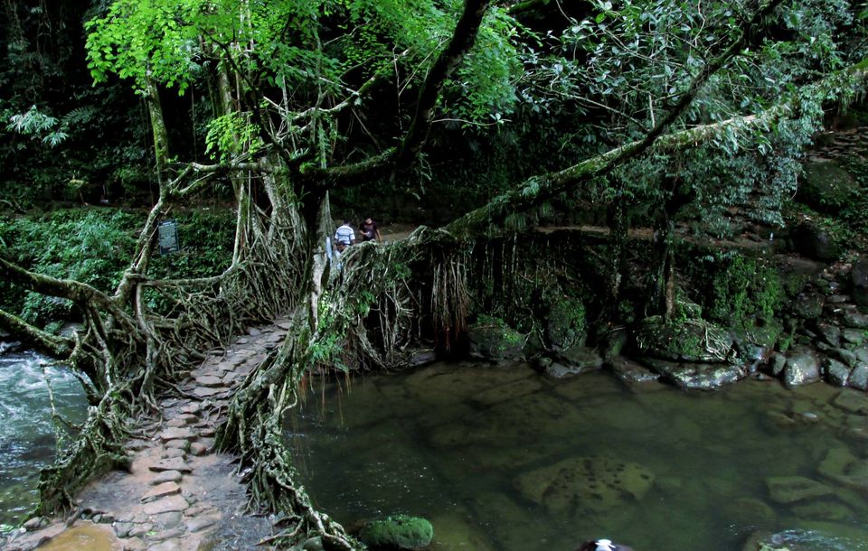 Photo of Meghalaya Diary by Sabuj Ghosh