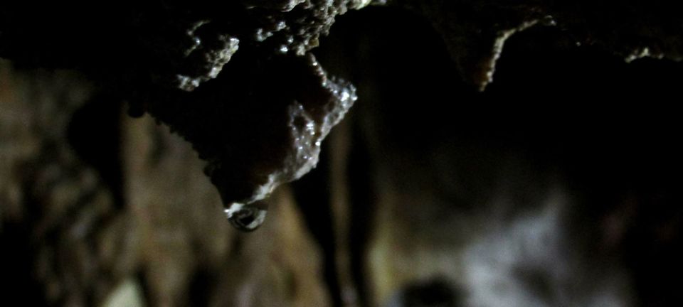 Photo of Meghalaya Diary by Sabuj Ghosh