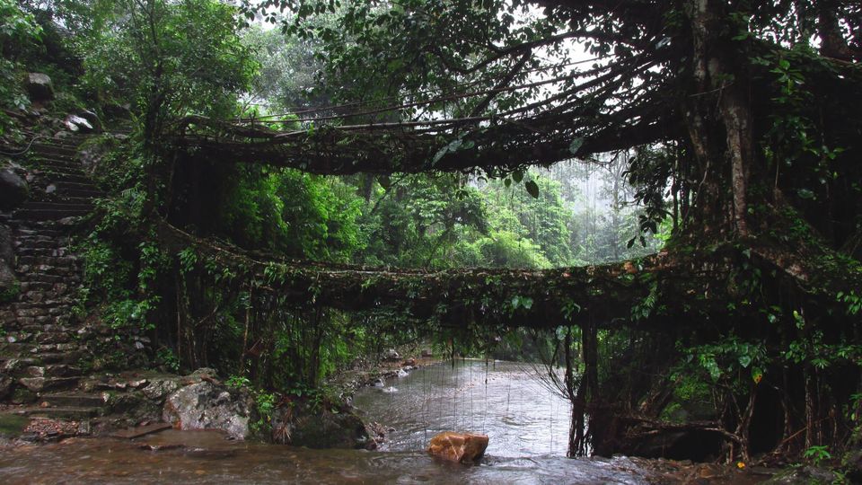 Photo of Meghalaya Diary by Sabuj Ghosh