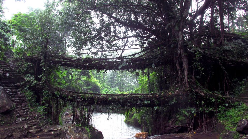 Photo of Meghalaya Diary by Sabuj Ghosh