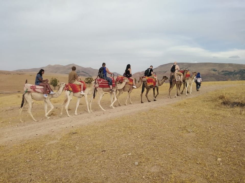 Photo of Atlas Mountain Trekking by Atlas Mountain Trekking Local Tour Company