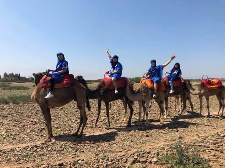 Photo of Atlas Mountain Trekking by Atlas Mountain Trekking Local Tour Company