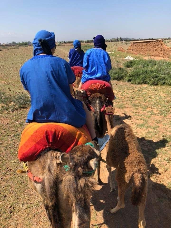 Photo of Atlas Mountain Trekking by Atlas Mountain Trekking Local Tour Company