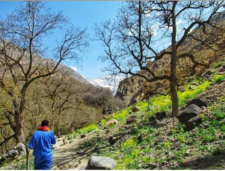 Photo of Atlas Mountain Trekking by Atlas Mountain Trekking Local Tour Company
