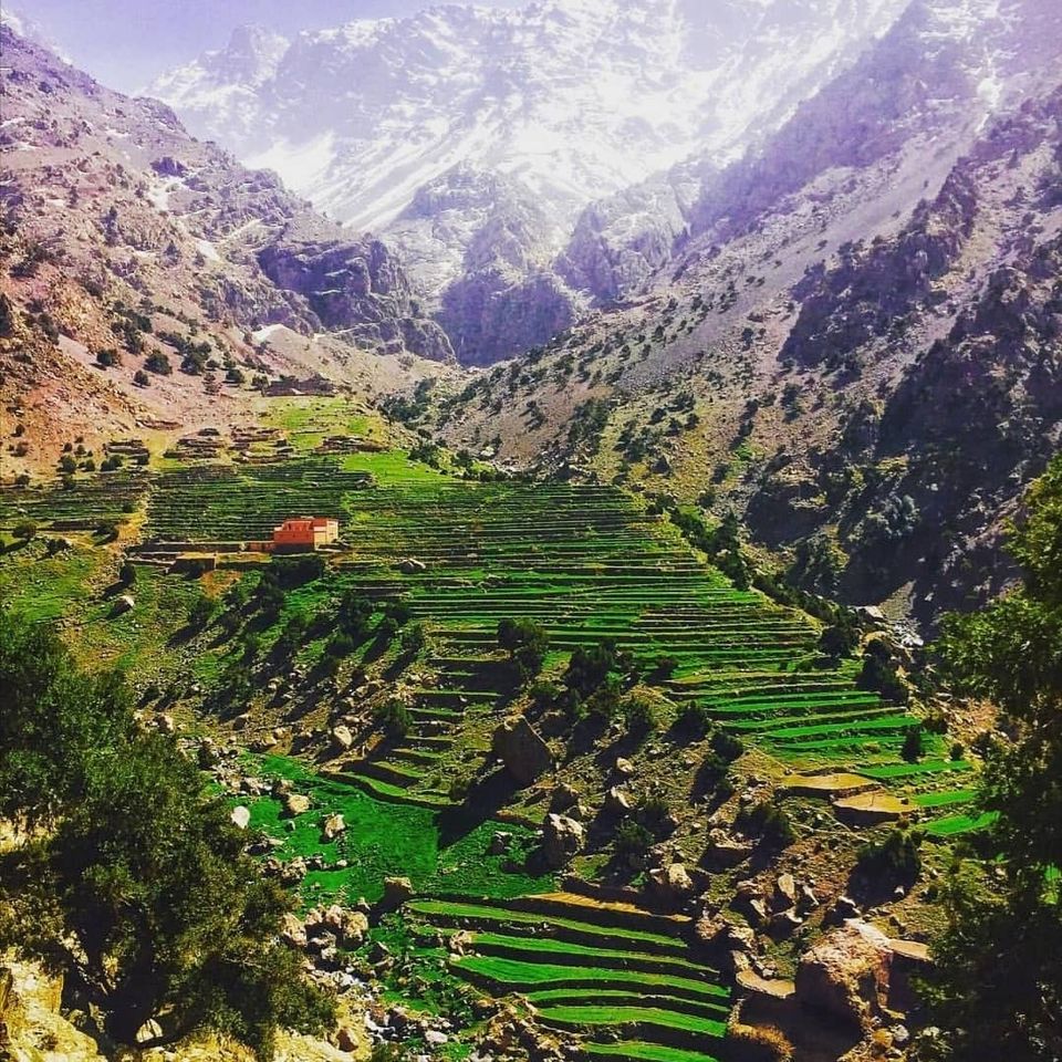 Photo of Atlas Mountain Trekking by Atlas Mountain Trekking Local Tour Company