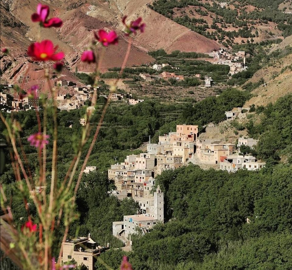 Photo of Atlas Mountain Trekking by Atlas Mountain Trekking Local Tour Company