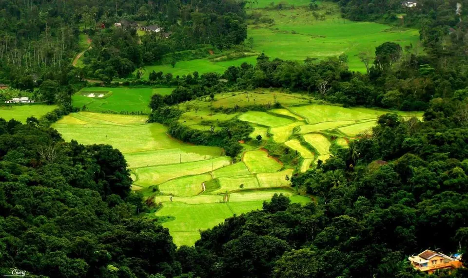 Photo of Coorg, Karnataka, India by RAVI SINGH