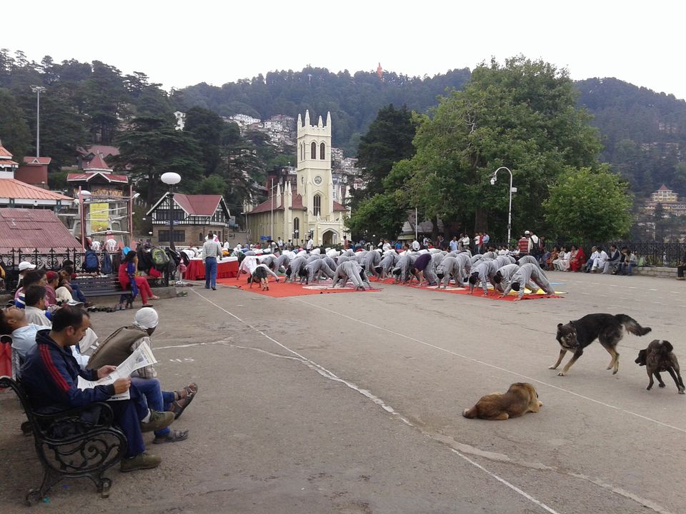 Photo of Solo escapades: Shimla 13/14 by Sanyam Malhotra