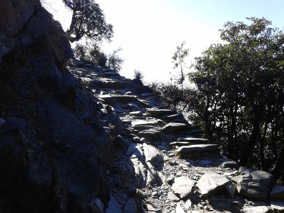 Photo of Solo Escapades: Triund/McLeodganj 5/16 by Sanyam Malhotra