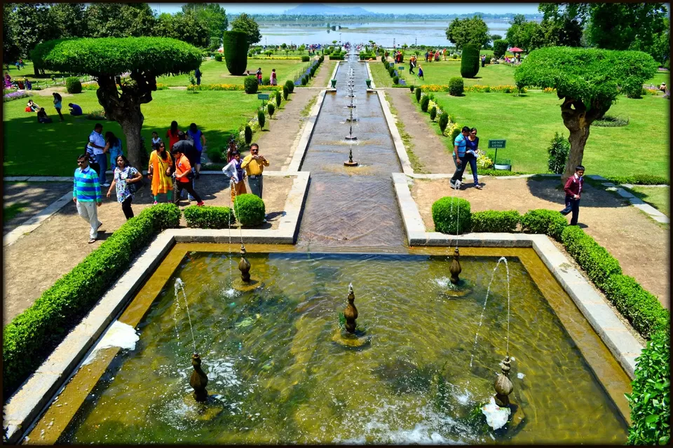 Photo of Nishat Mughal Gardens, Nishat, Srinagar by Neha Sharma