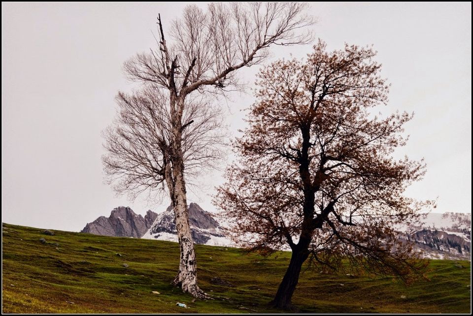Photo of Kashmir Part 2 5/12 by Neha Sharma