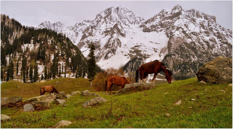 Photo of Kashmir Part 2 7/12 by Neha Sharma